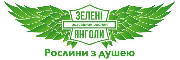 Розсадник рослин Зелені янголи Розсадник рослин Зелені янголи